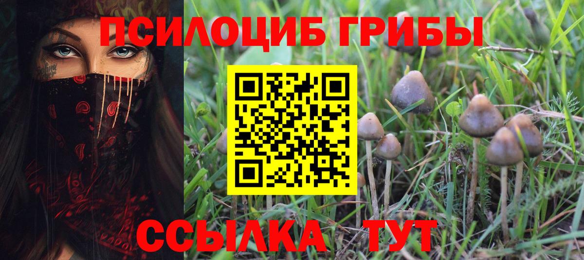 Королёв  Псилоцибиновые грибы мицелий  Вход с VPN 